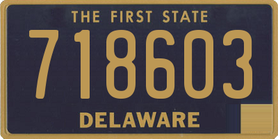 DE license plate 718603