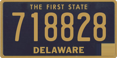DE license plate 718828
