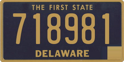 DE license plate 718981