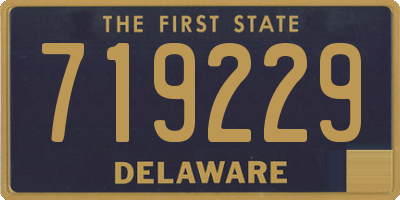 DE license plate 719229