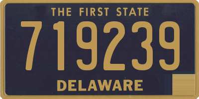 DE license plate 719239