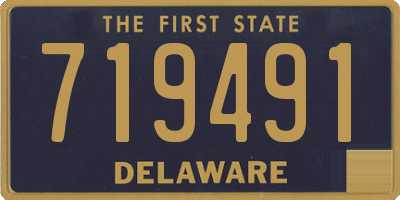DE license plate 719491