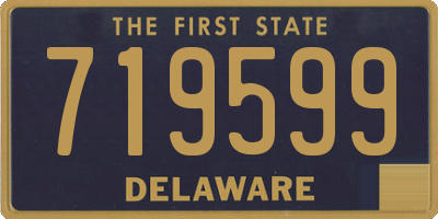 DE license plate 719599