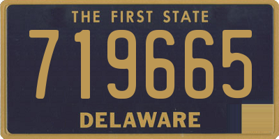 DE license plate 719665