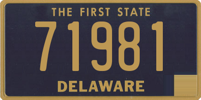 DE license plate 71981