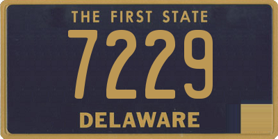 DE license plate 7229