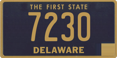 DE license plate 7230