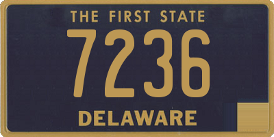 DE license plate 7236