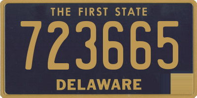 DE license plate 723665