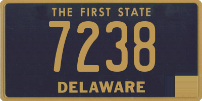 DE license plate 7238