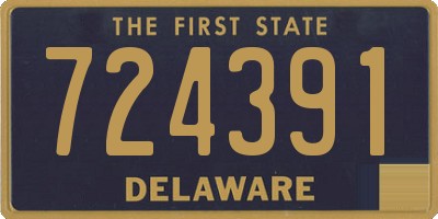DE license plate 724391