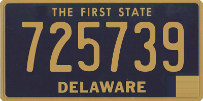 DE license plate 725739