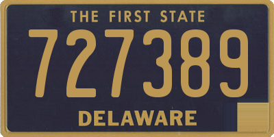 DE license plate 727389
