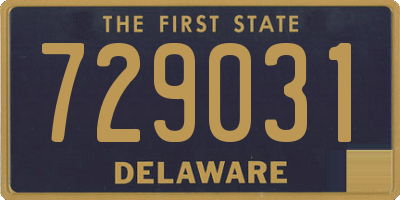 DE license plate 729031