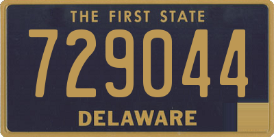 DE license plate 729044