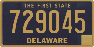 DE license plate 729045