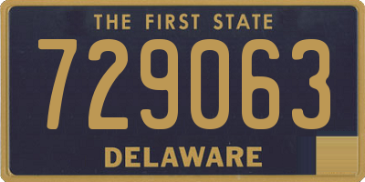 DE license plate 729063