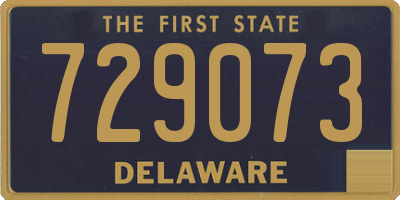 DE license plate 729073