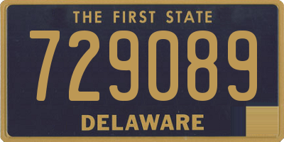 DE license plate 729089