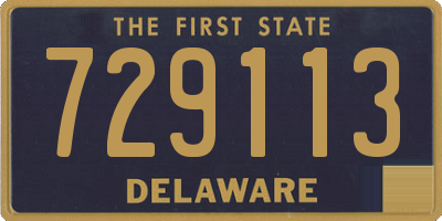 DE license plate 729113