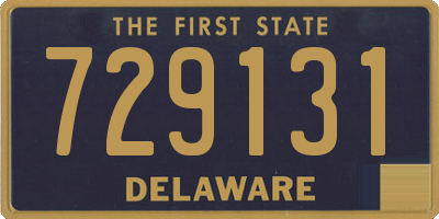 DE license plate 729131