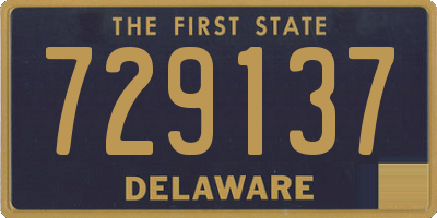 DE license plate 729137
