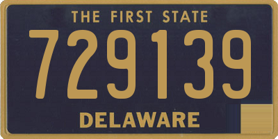 DE license plate 729139