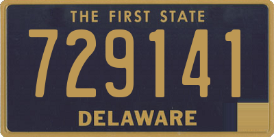 DE license plate 729141