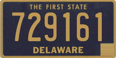 DE license plate 729161