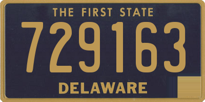 DE license plate 729163