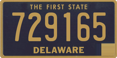 DE license plate 729165