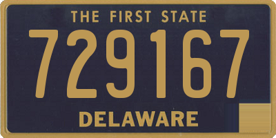 DE license plate 729167