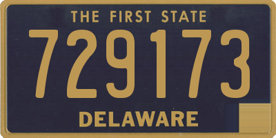 DE license plate 729173