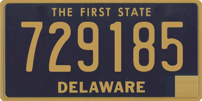 DE license plate 729185