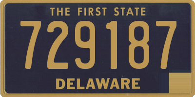 DE license plate 729187