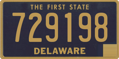 DE license plate 729198