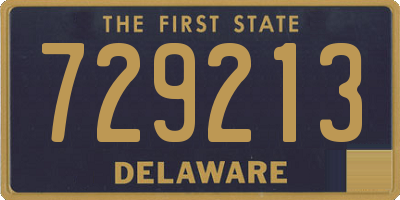 DE license plate 729213