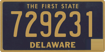 DE license plate 729231