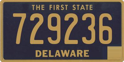 DE license plate 729236
