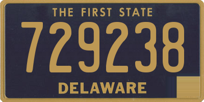 DE license plate 729238