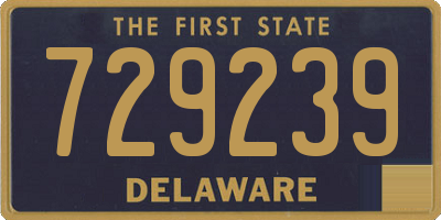 DE license plate 729239