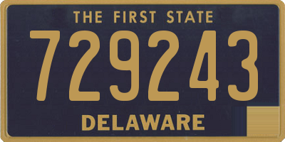 DE license plate 729243