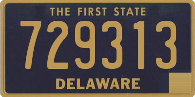 DE license plate 729313