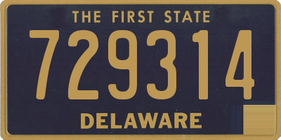 DE license plate 729314