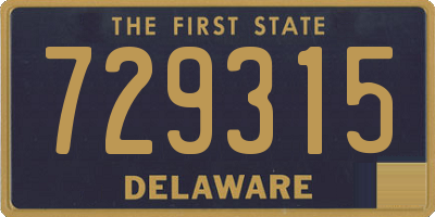 DE license plate 729315