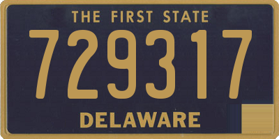 DE license plate 729317