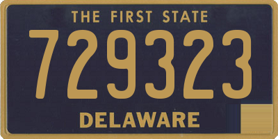 DE license plate 729323
