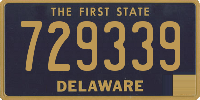 DE license plate 729339