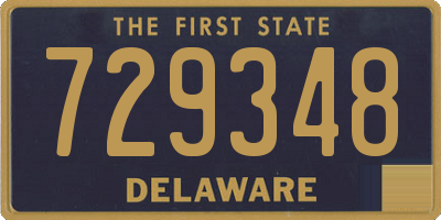 DE license plate 729348
