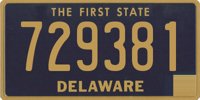 DE license plate 729381